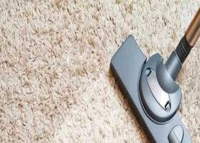 carpet clean and dry