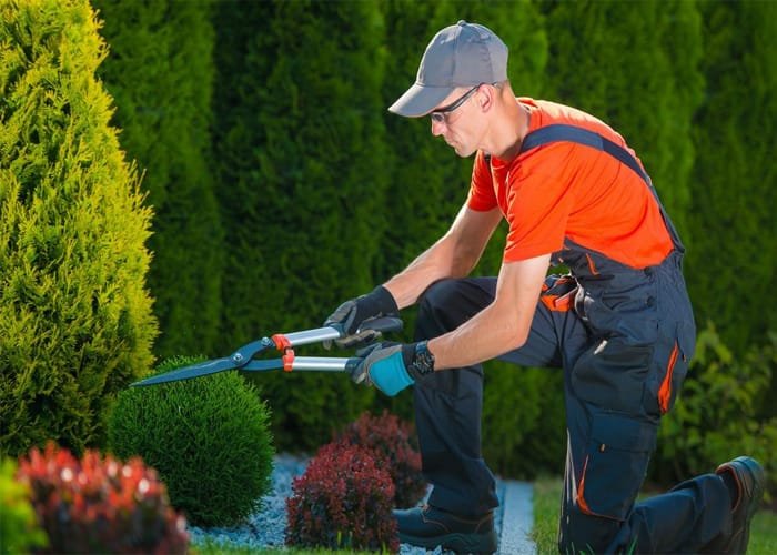 garden maintainance solution
