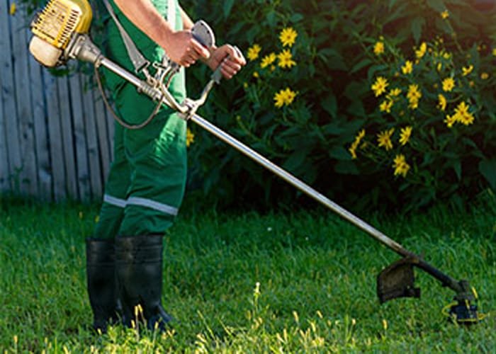 garden maintainance services