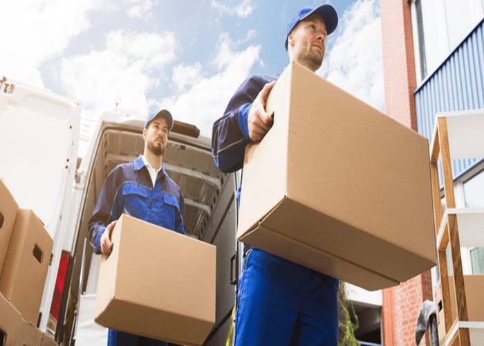 Mover and Packers Service In Abu Dhabi