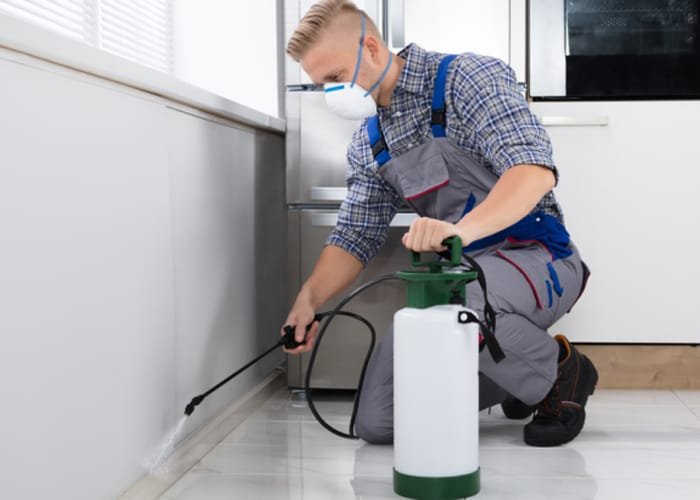 pest control services