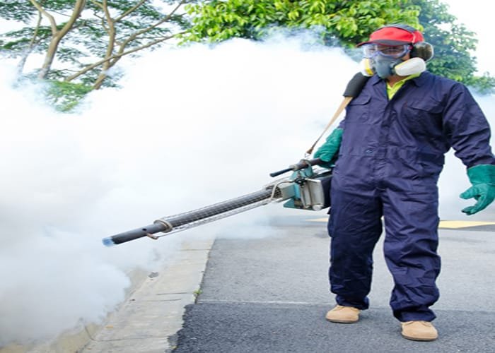 Get a Reputable Pest Control Abu Dhabi