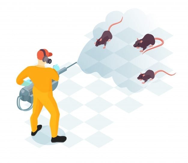 Getting Rid Of Pest control Using The Right Services