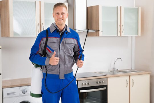 fly control services