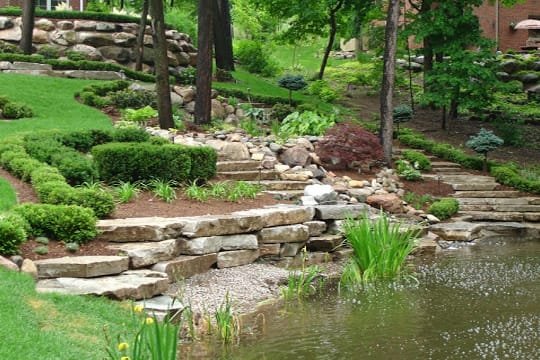 land scaping -services