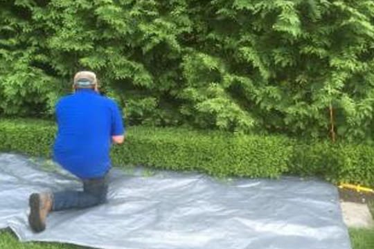 land scapping -services-in-UAE