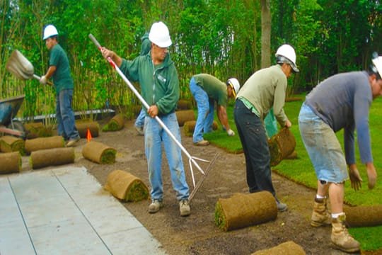 land scapping services-dubai