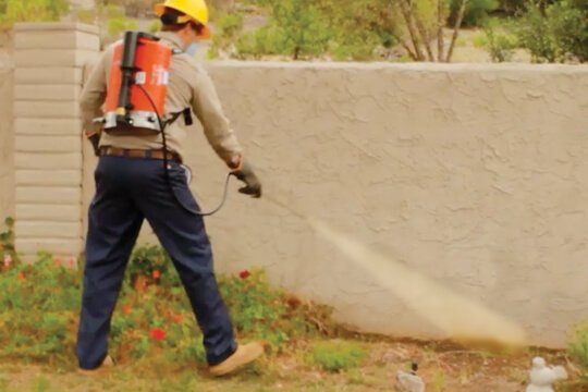 mite control services