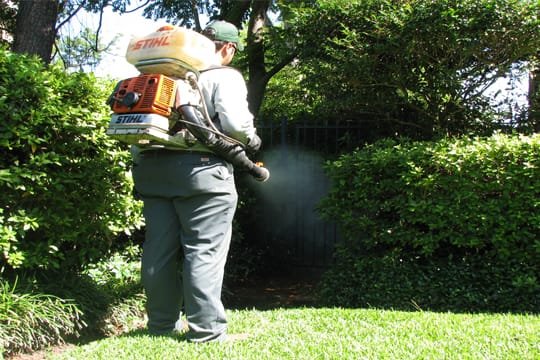 mosquito-control