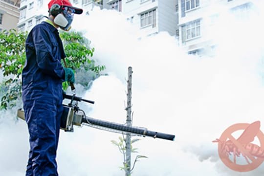 mosquito control services