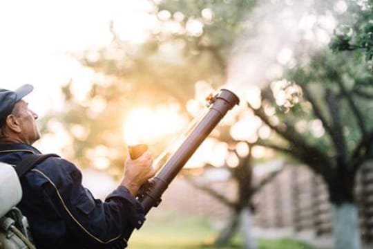 mosquito control services in dubai