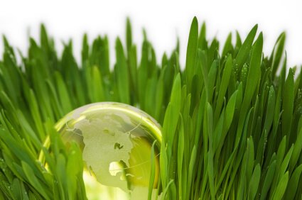 lawn care
