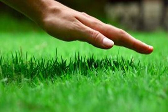 law care in dubai