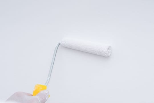 Professional Wall Painters Near Me