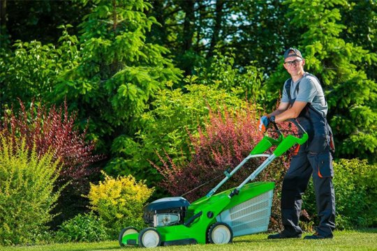 lawn-care