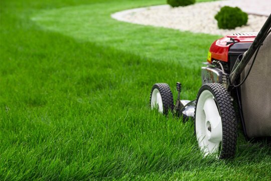 professional-lawn-care