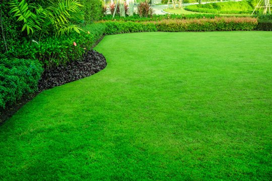 Lawn-care in UAE