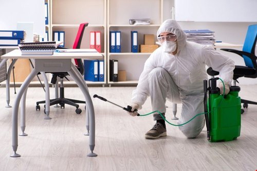 Get The Pest Control Service In Abu Dhabi