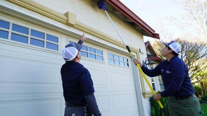 Spider Removal Service in Abu Dhabi & Spider Killing Process