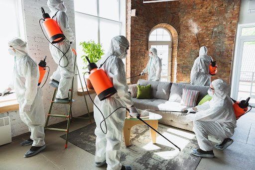 Best Home Sanitization in Abu Dhabi, Fast Moving Service Eagle Trends