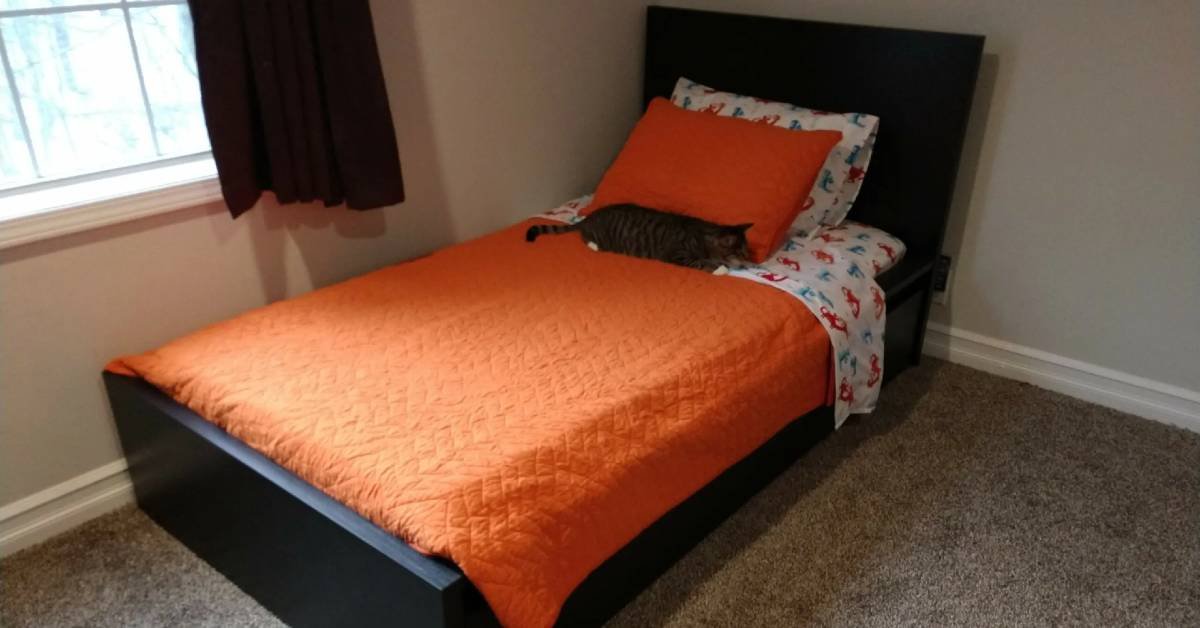 Best Professionals the furniture repair service Near Me
