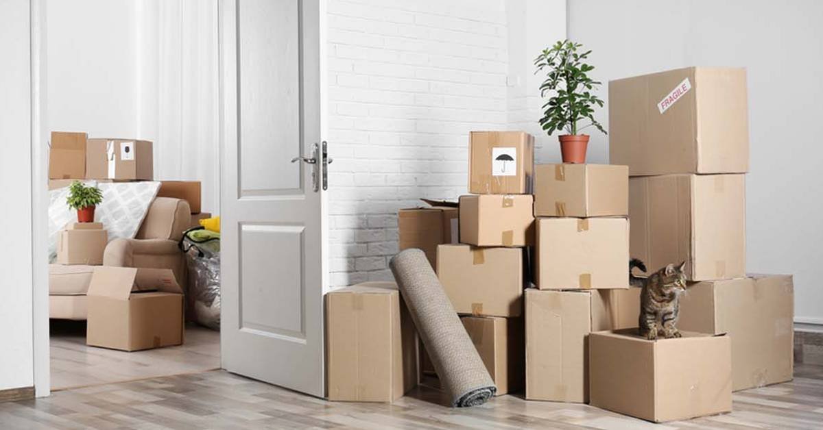 Professional Movers and Packers in Abu Dhabi.