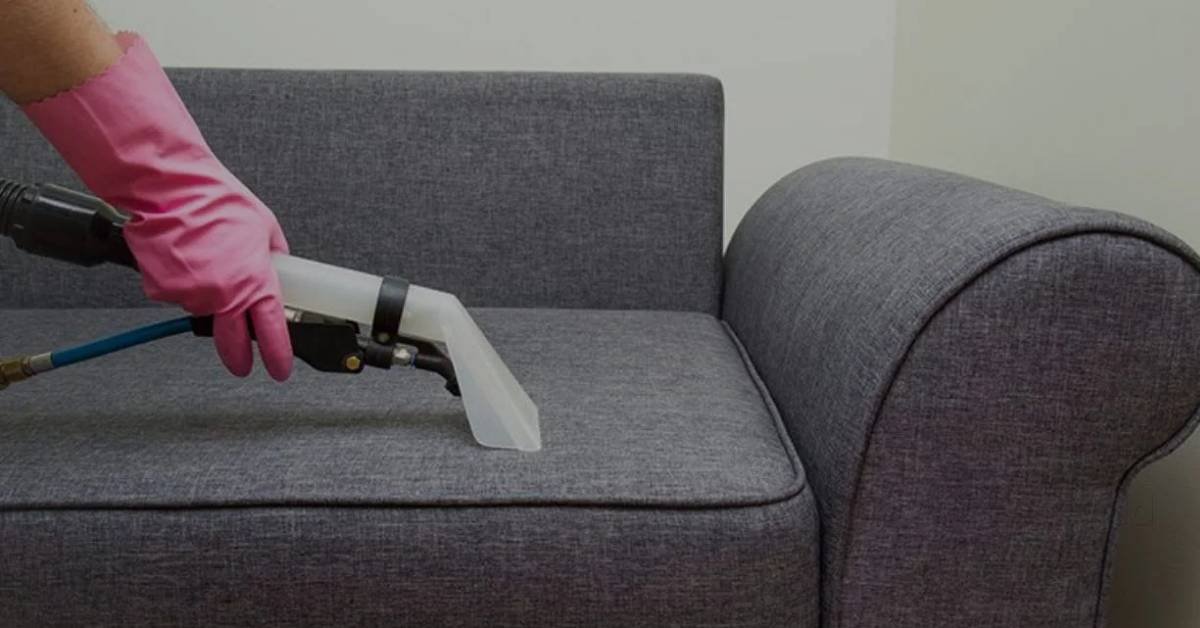 Sofa Cleaning Services: Everything You Need to Know