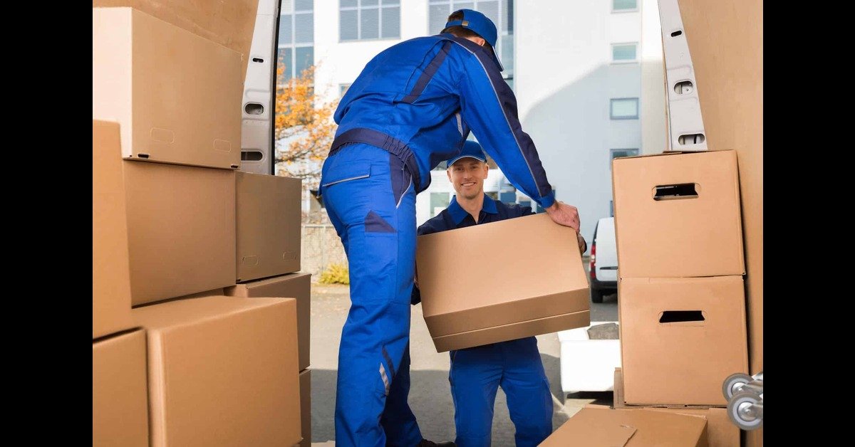 Navigating the Shifting Company Landscape
