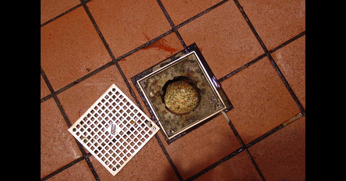 Importance Well-Maintained Restaurant Drainage System